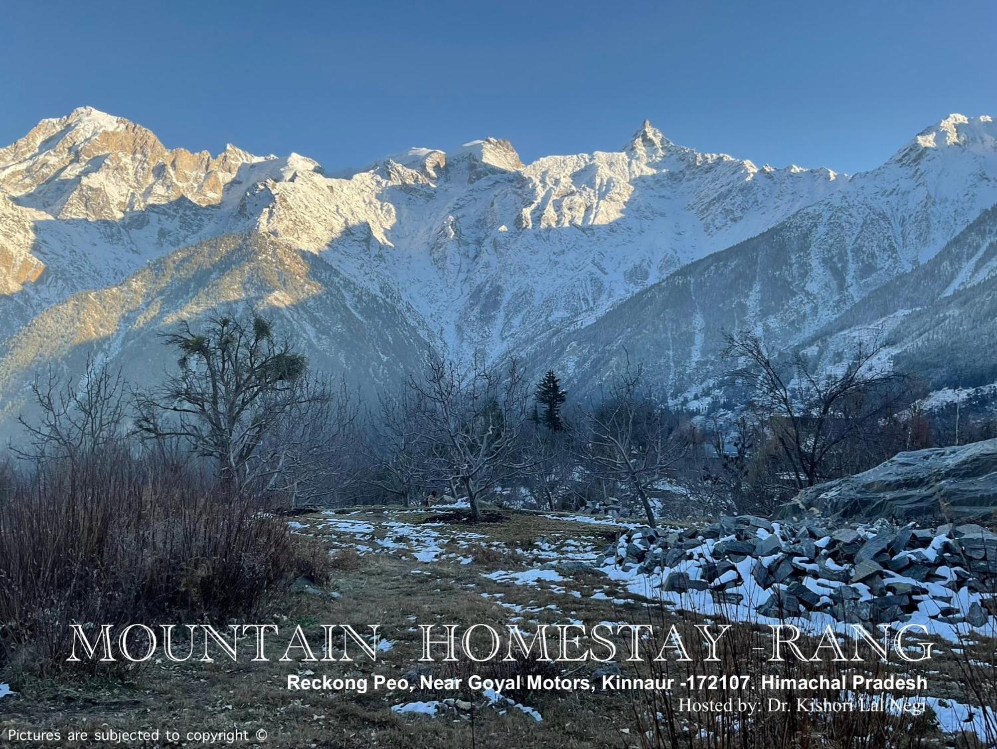 Mountain Home Stay -Rang, At Reckong Peo - Kalpa, Near Goyal Motors, Way To Petrol Pump At Itbp Quarters Eksteriør billede
