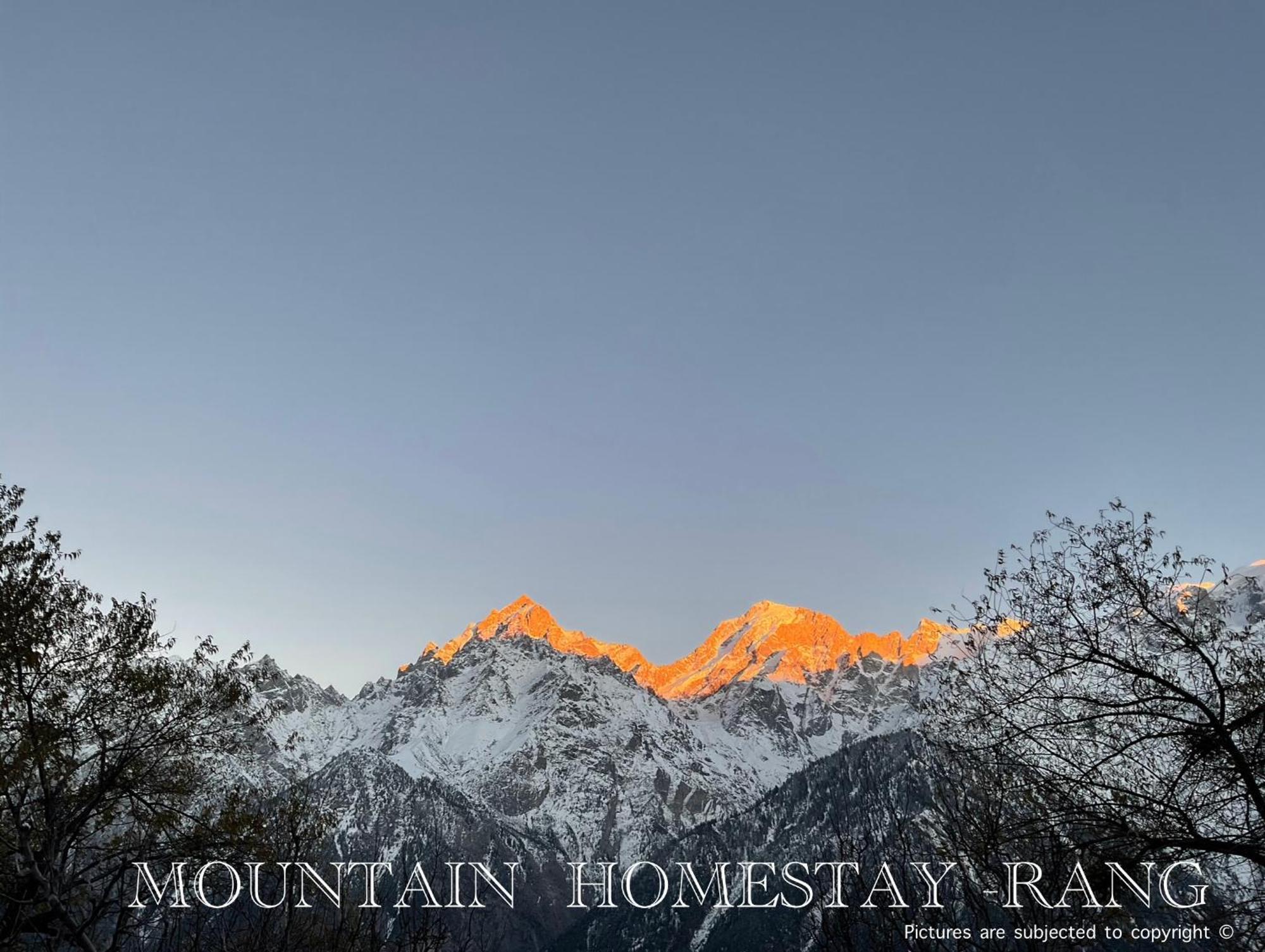 Mountain Home Stay -Rang, At Reckong Peo - Kalpa, Near Goyal Motors, Way To Petrol Pump At Itbp Quarters Eksteriør billede