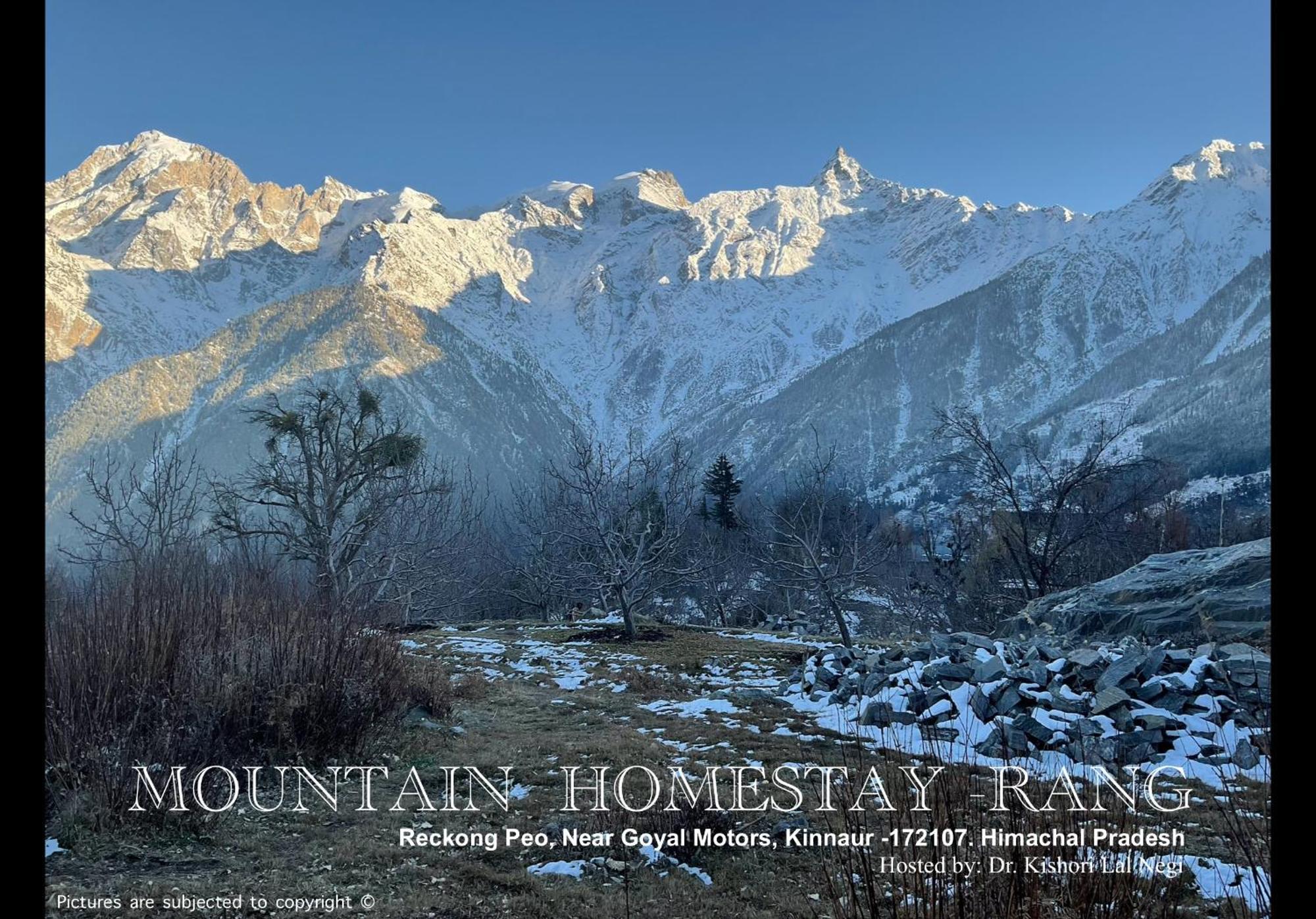 Mountain Home Stay -Rang, At Reckong Peo - Kalpa, Near Goyal Motors, Way To Petrol Pump At Itbp Quarters Eksteriør billede